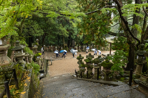 2023-11-10 Nara Japan. Tourists at Kasuga Shrine in Nara, Japan