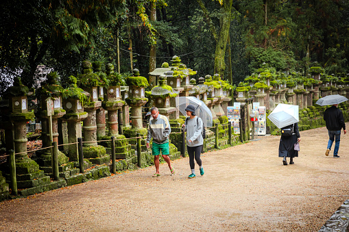 2023-11-10 Nara Japan. Tourists walking past a row of stone lanterns in Nara, Japan