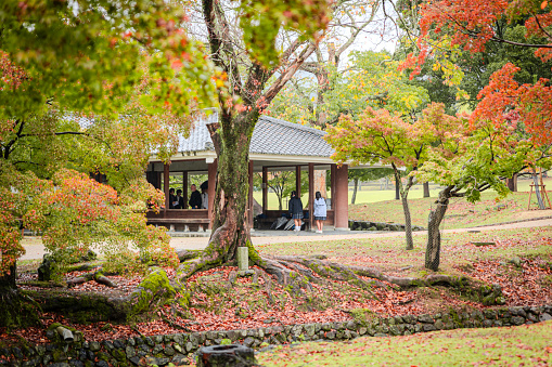 2023-11-10 Nara Japan. Japanese garden with a pavilion and autumn leaves