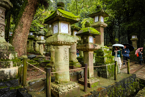 2023-11-10 Nara Japan. tourists visiting nara park in japan