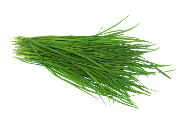 istock close up fresh chives isolated on white background 1895202310