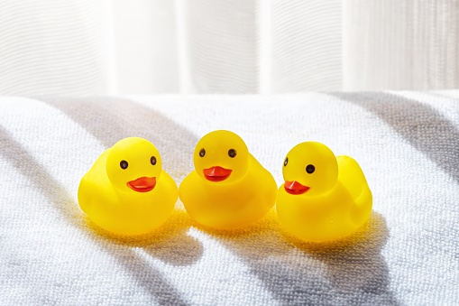 three yellow ducks on a white towel bathroom close up view over daylight background
