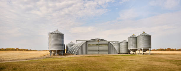 Large grain storage bins on farm field