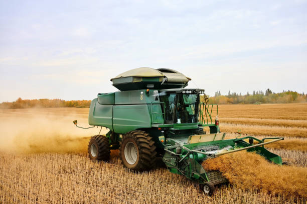 istock Combine harvester machine working in mustard field 1895289858