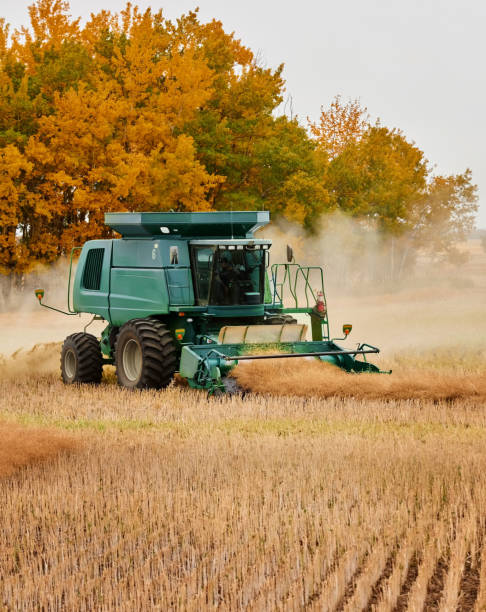 istock Combine harvester harvesting crop on farm 1895290363