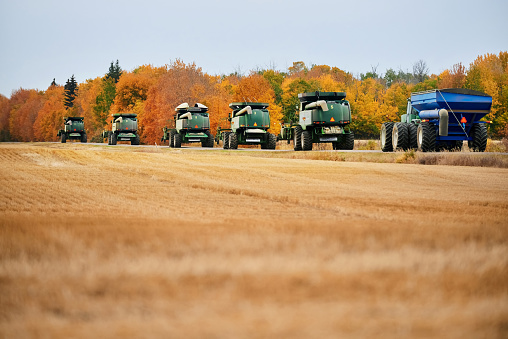 Combine harvesters with tractor and trailer driving on road along vast agricultural farmland