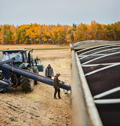 Two male farm workers attaching auger elevator to grain trailer on agricultural farm