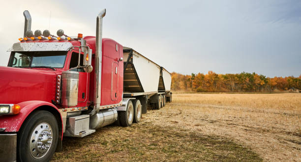 istock Transportation of grain after being harvested 1895291408