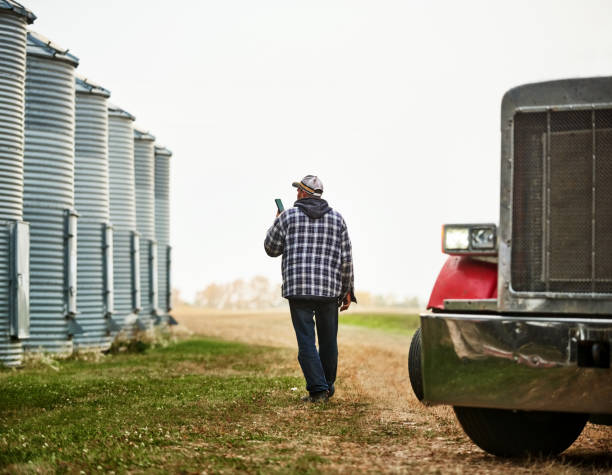 istock Man walking outside along the large grain storage silos on farm 1895291409