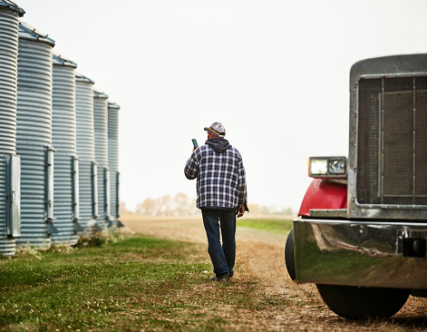 Rear view of a male farm worker with phone walking outside along the large grain storage silos on farm
