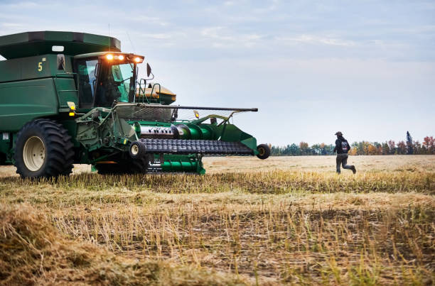 istock Man running towards combing harvester machine on farm field 1895291931