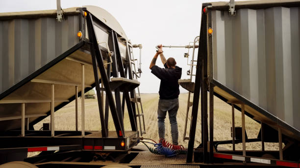 istock Man operating the grain collection trailer on farm 1895291936