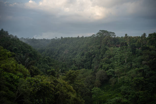 istock beautiful view of mountains, rainforest and blue sky with clouds 1895302840