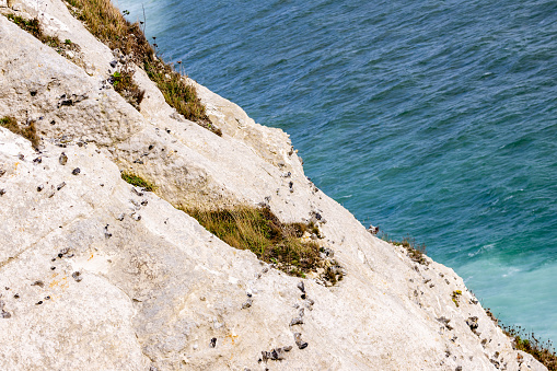 One of the views from the clifftop of the famous White Cliffs Of Dover, landmark, in the United Kingdom.