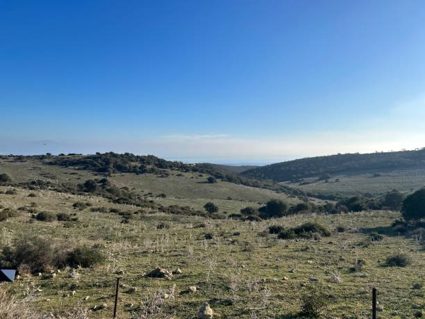 istock Hills near Manilva 1895317653