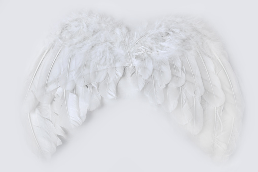 close up of the angel wings white on white