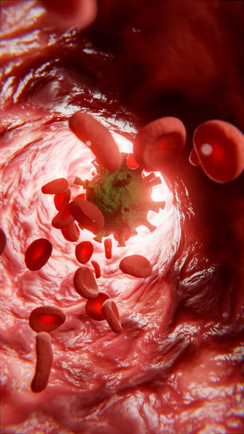 赤血球と白血球はウイルスとともに動脈内を移動します - blood human vein animal vein human blood vessel ストックフォトと画像