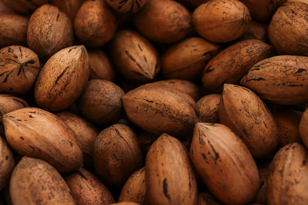 pecans closed whole nuts pile background texture - textured nobody close up seed photos et images de collection