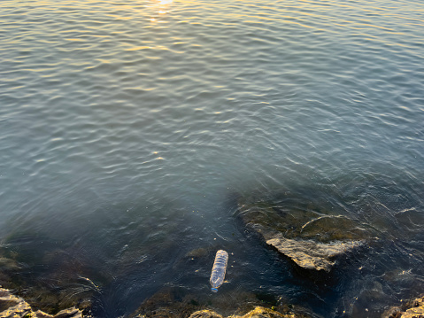 Plastic water bottle litter floating in sea
