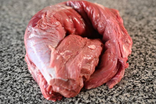 fresh beef tenderloin on a gray background - veal piccata стоковые фото и изображения