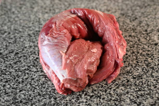 fresh beef tenderloin on a gray background - veal piccata imagens e fotografias de stock