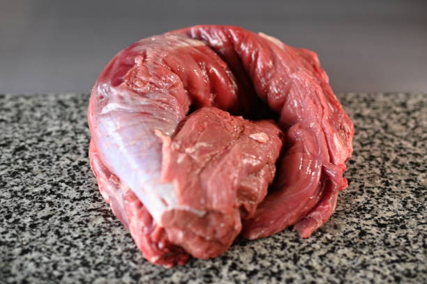 fresh beef tenderloin on a gray background - veal piccata imagens e fotografias de stock