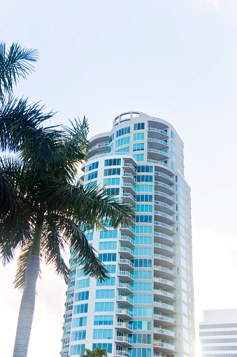 High rise Building with Palm Trees in Downtown St. Petersburg 2nd Avenue, Florida, USA.