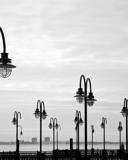 istock Lamp posts line a pier in a grayscale river scene. 1895473950