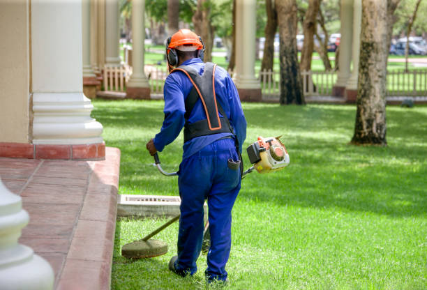 african man , contractor, with a trimmer cutting grass on the meadow in front of the hotel