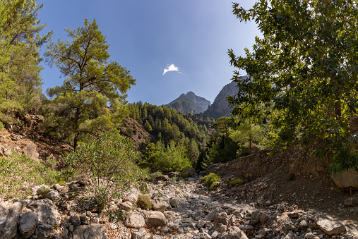 A picture of the classic Samaria Gorge landscape, with rocks on the ground and surrounding trees and mountains.