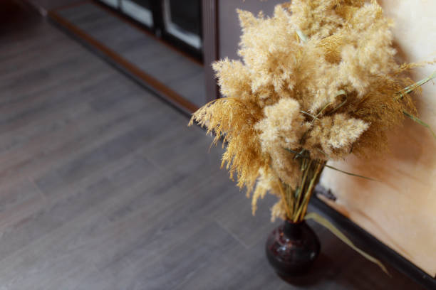 Beige reeds in vase with beautiful shadows on the wall. Minimal styled concept.