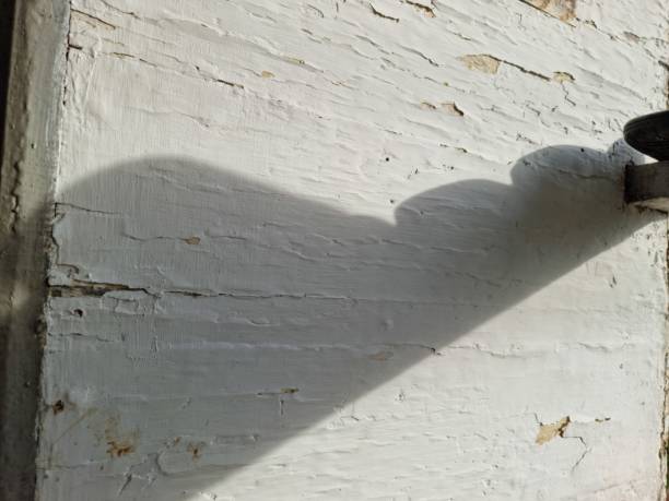istock shadows on the wooden wall 1895759022