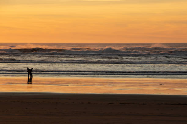 istock Silhouette of Clam diggers on Shoreline 1895933191