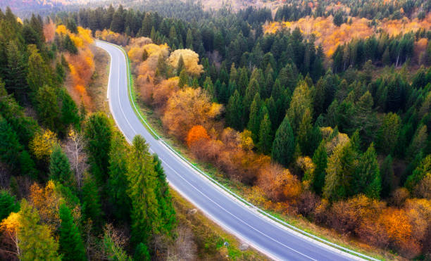 istock Autumn's Embrace: Sunset Drive Through the Mountain Colors 1895934887