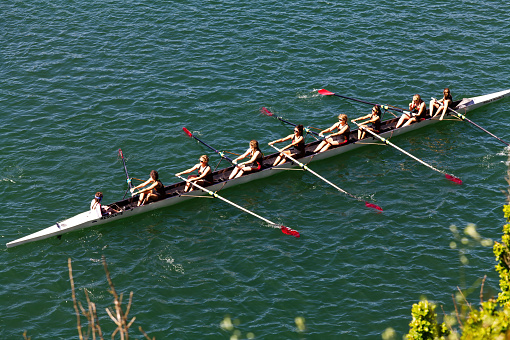 Women's Crew Team Oars Out Of Water In Boat On Lake In Folsom California