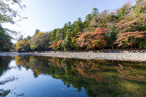 Isuzu River in autumn leaves