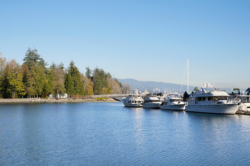 Stanley Park during a fall season near Deadman's Island and the Royal Vancouver Yacht Club in Vancouver, British Columbia, Canada.