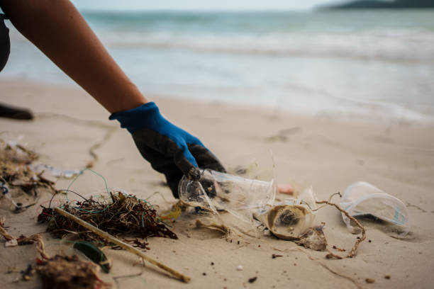 istock Environmentally conscious volunteer cleaning the beach 1896057558