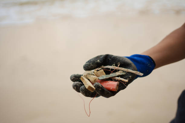 istock Volunteer holding the plastic debris in hand 1896058579