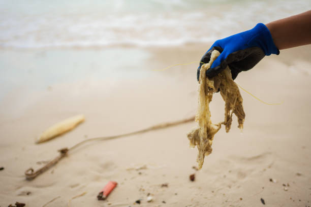istock Environmentally conscious volunteer cleaning the beach 1896058580