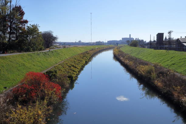 istock Autumn in Saitama, Japan 1896343635