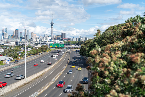 view of Auckland city and motorway on a sunny day