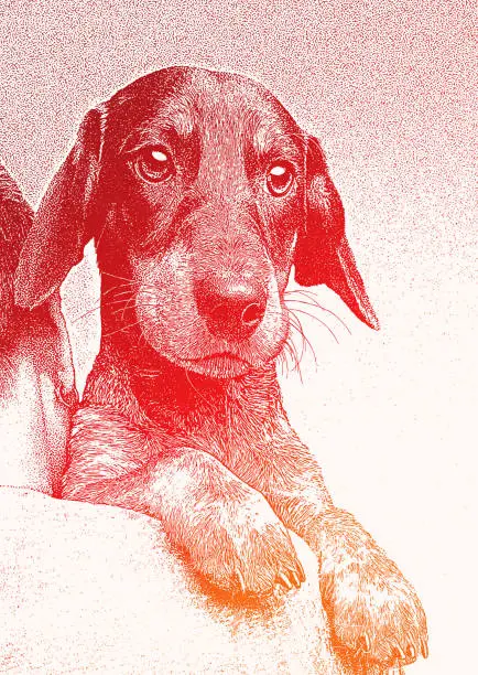 Vector illustration of Woman hugging Dachshund dog
