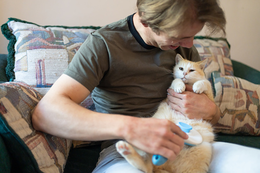 In the comfort of home, a young adult man, the pet owner, shares a gentle grooming session with a cute yellow kitten