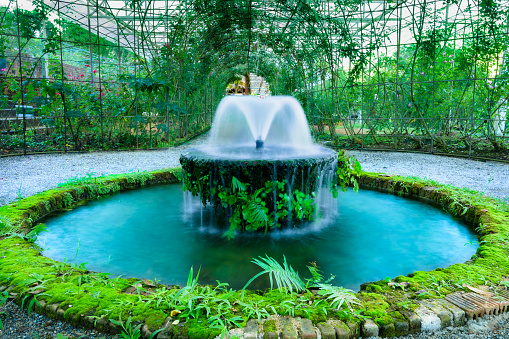 Fountain pond in a shady garden at Chiang Mai Province, Thailand.