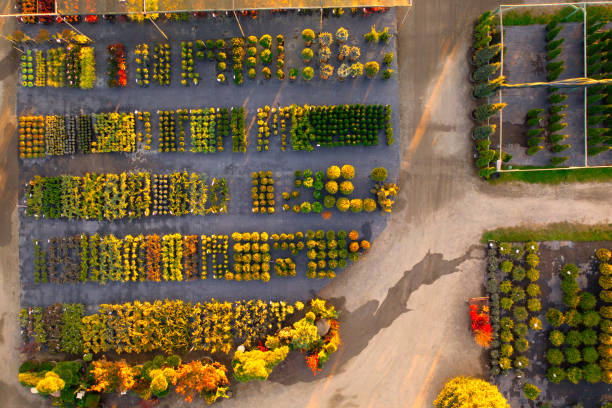 istock Aerial Garden Market: Exploring the Plant Shop's Beauty 1896495934