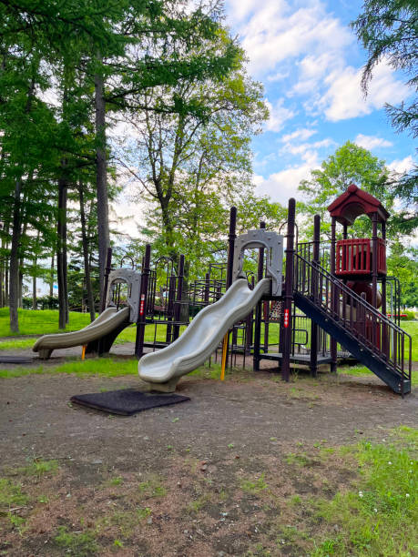 istock Children's playset in the park 1896571965