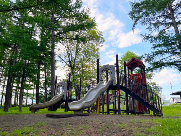 istock Children's playset in the park 1896572474