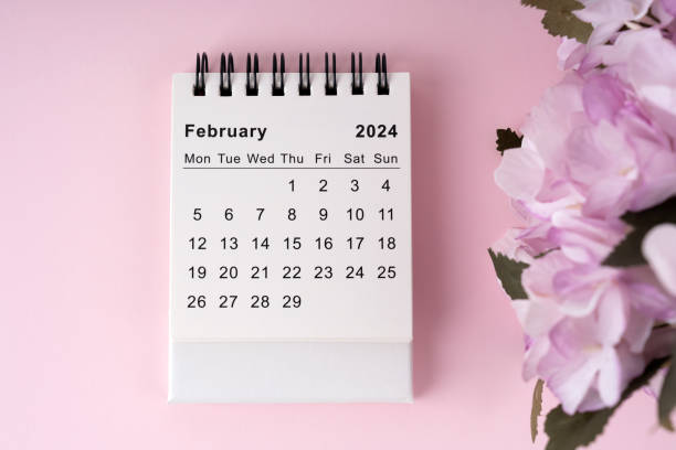 februar 2024 schreibtischkalender flat lay - temperate flower hydrangea plant flower stock-fotos und bilder