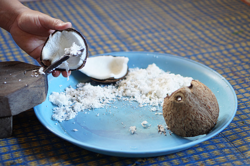Hands holding a half-cut coconut to scrape for making coconut milk by using coconut grater. Concept Thai cooking style. Food ingredient in traditional food and dessert.